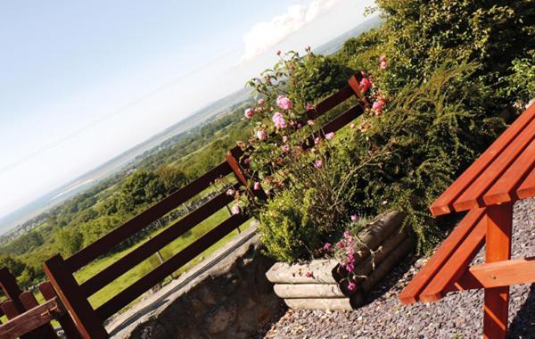 Hafoty Farm Cottages Κερνάρφον Εξωτερικό φωτογραφία